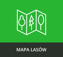 Mapa lasów