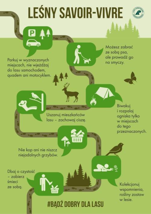 Infografika&#x20;opisująca&#x20;zasady&#x20;zachowania&#x20;w&#x20;lesie