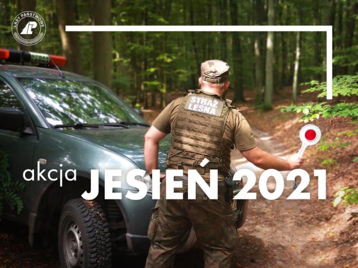 Grafika&#x20;obrazująca&#x20;strażnika&#x20;leśnego&#x2c;&#x20;który&#x20;zatrzymuje&#x20;samochód