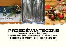 PRZEDŚWIĄTECZNE SPOTKANIE EDUKACYJNE W CEL
