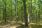 100 rezerwatów na 100-lecie Lasów Państwowych
