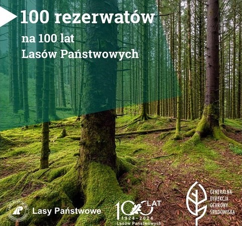 grafika&#x20;Lasy&#x20;Państwowe