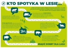 Spotkałeś dzikie zwierzę? Nie panikuj.