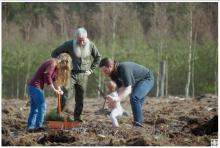 Wiosenne sadzenie lasu – jak odnawiamy lasy